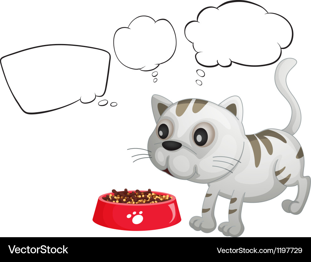 A cat and the empty bubble notes vector image