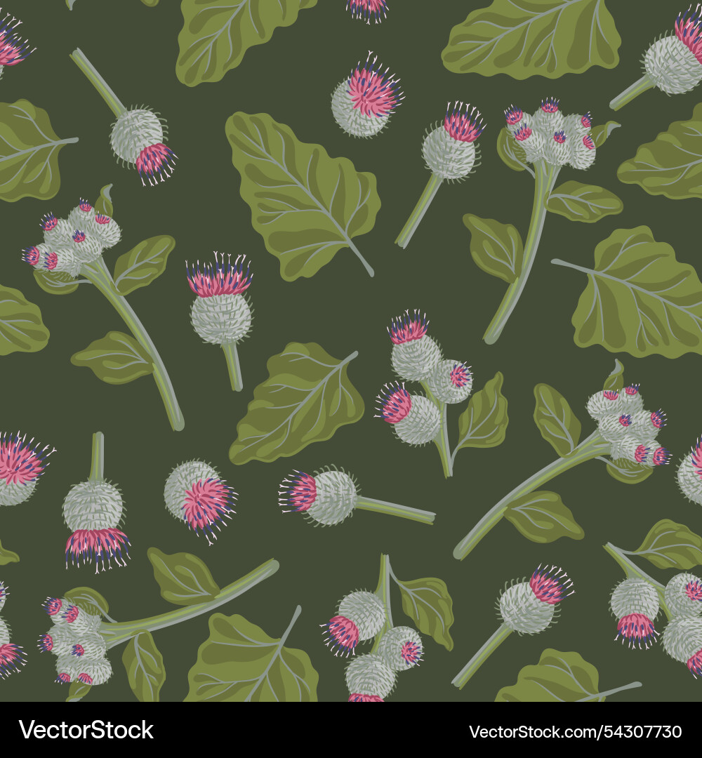 Seamless pattern with woolly burdock Seamless pattern with woolly burdock vector image