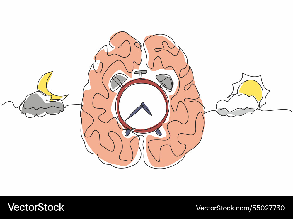 Single continuous line drawing in middle of brain Single continuous line drawing in middle of brain Vector Image