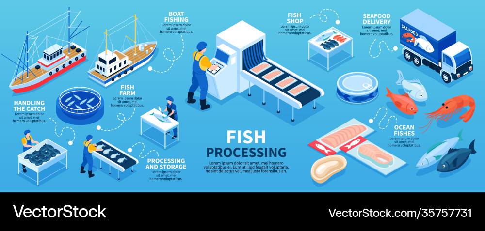 Fish Processing & Seafood Delivery vector image