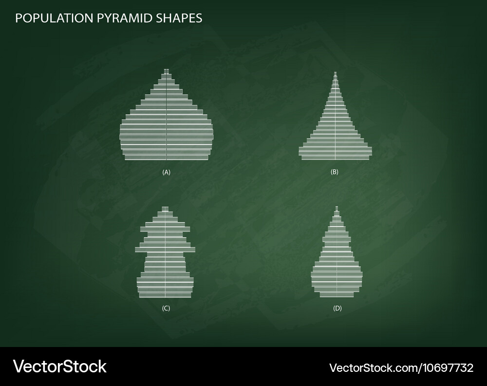 4 types of population pyramids graphs Vector Image