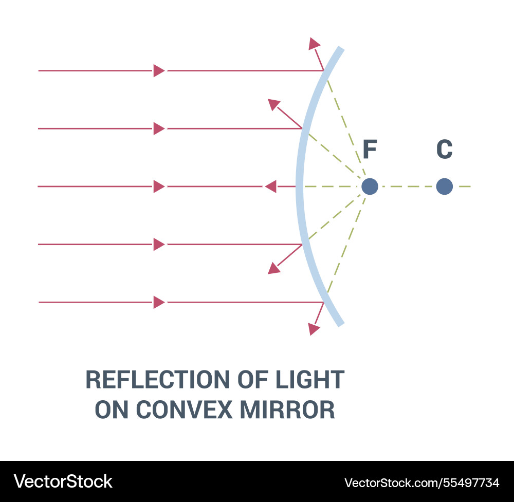 Reflection of light on a convex mirror in various Reflection of light on a convex mirror in various Vector Image
