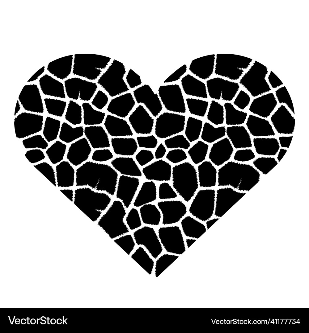 Zebra Heart Print (41177734) – Royalty-Free Vector | VectorStock, image size:1000x1080