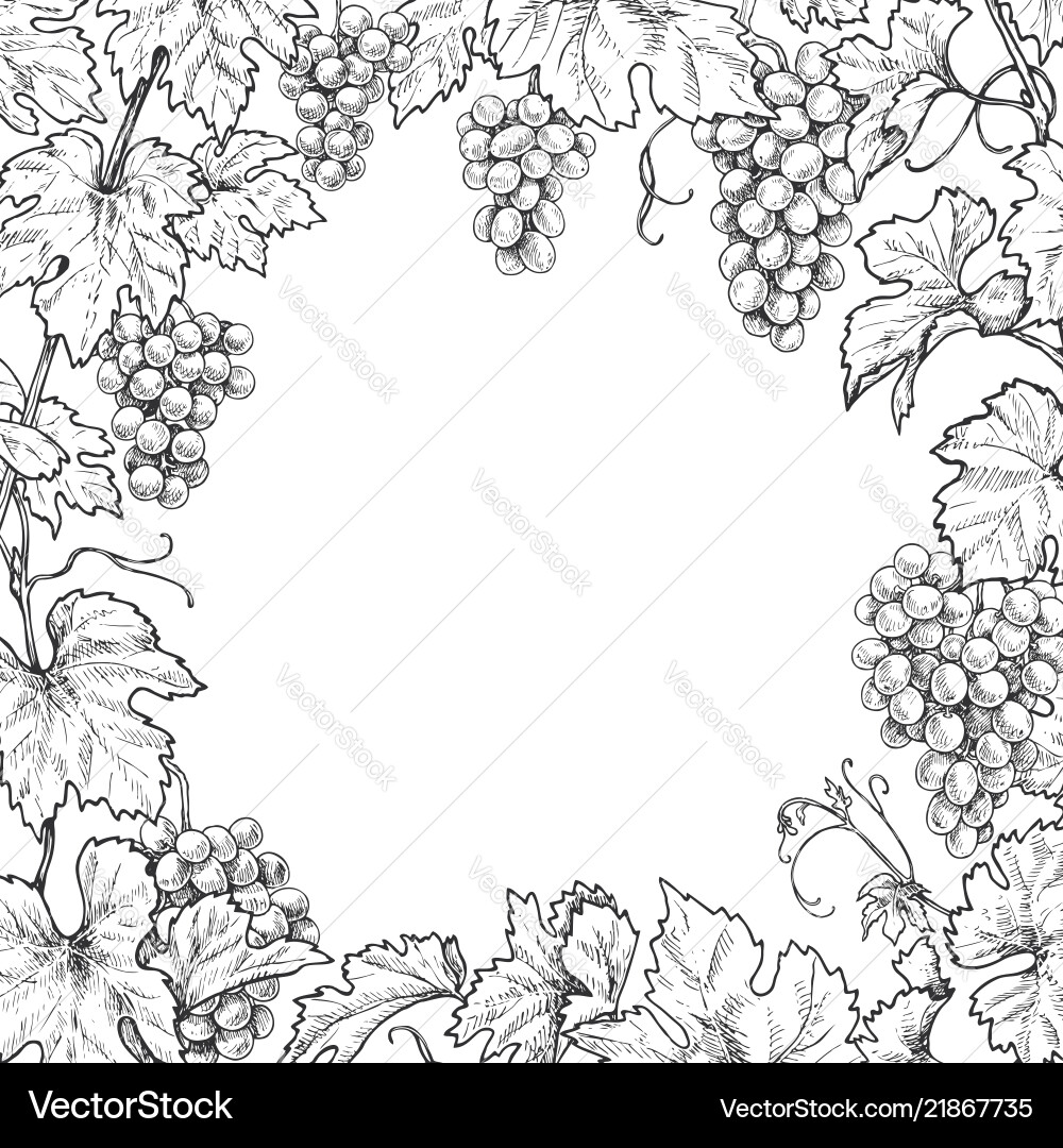 Grapevine Branch Frame vector image