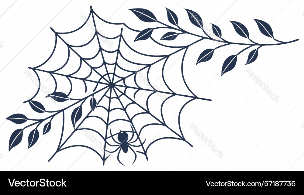 Rustic spiderweb on branch with spider art design vector image