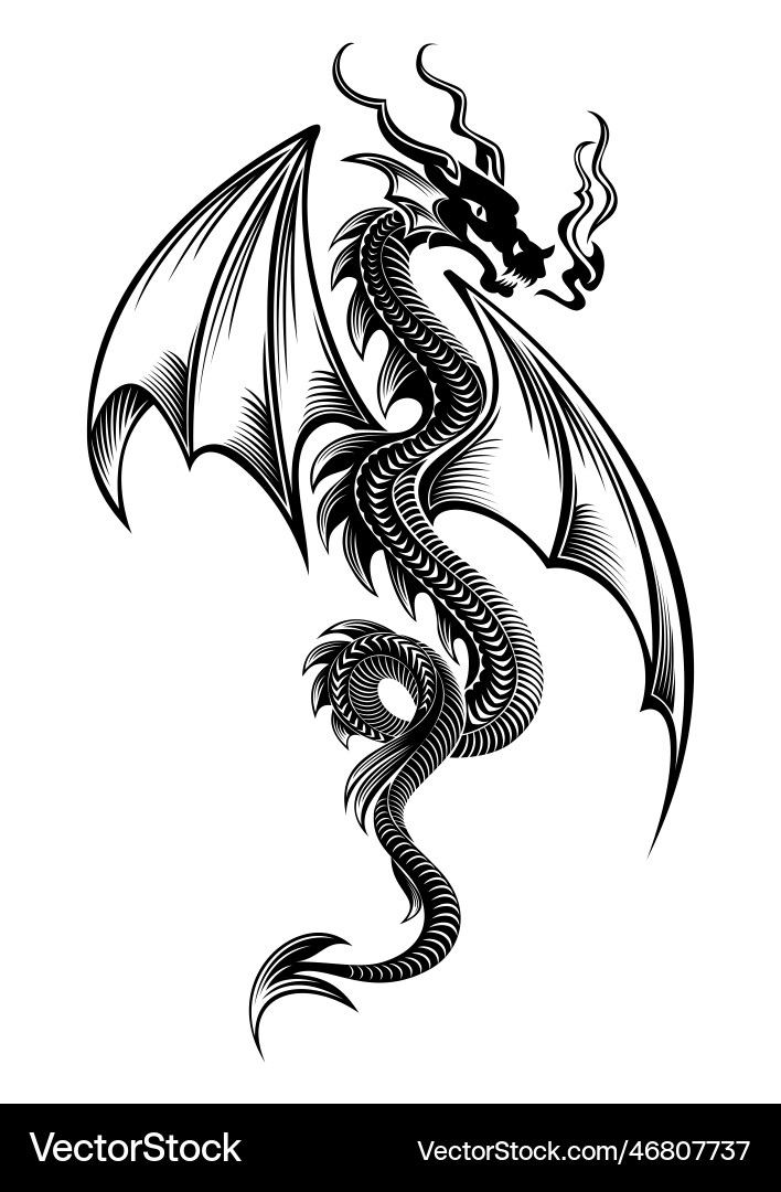 Black winged tribal dragon tattoo Black winged tribal dragon tattoo vector image