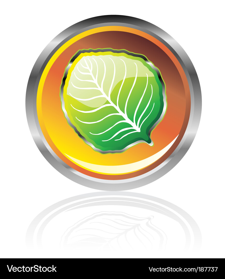Glossy leaf Royalty Free Vector Image - VectorStock