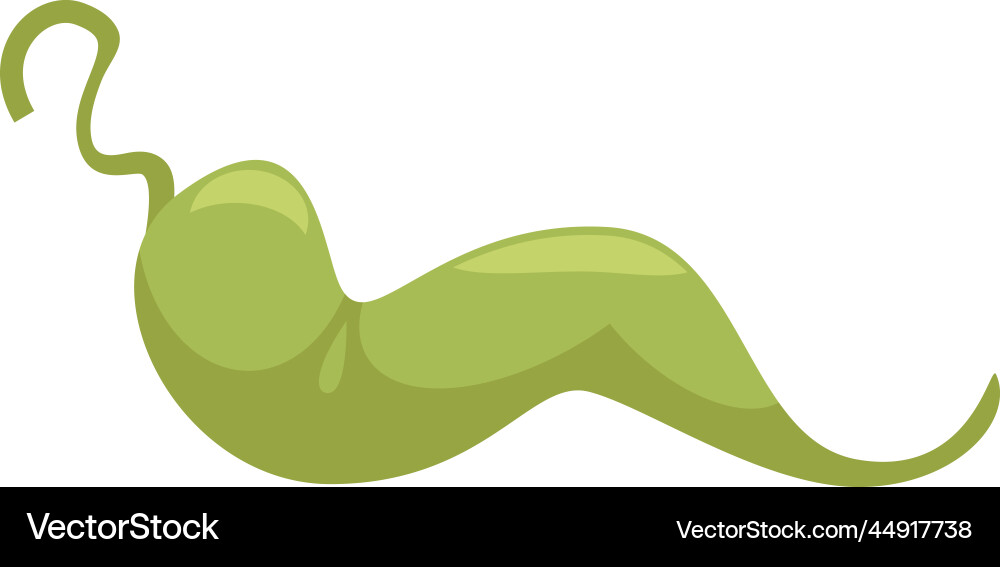 Green pepper pizza composition Royalty Free Vector Image