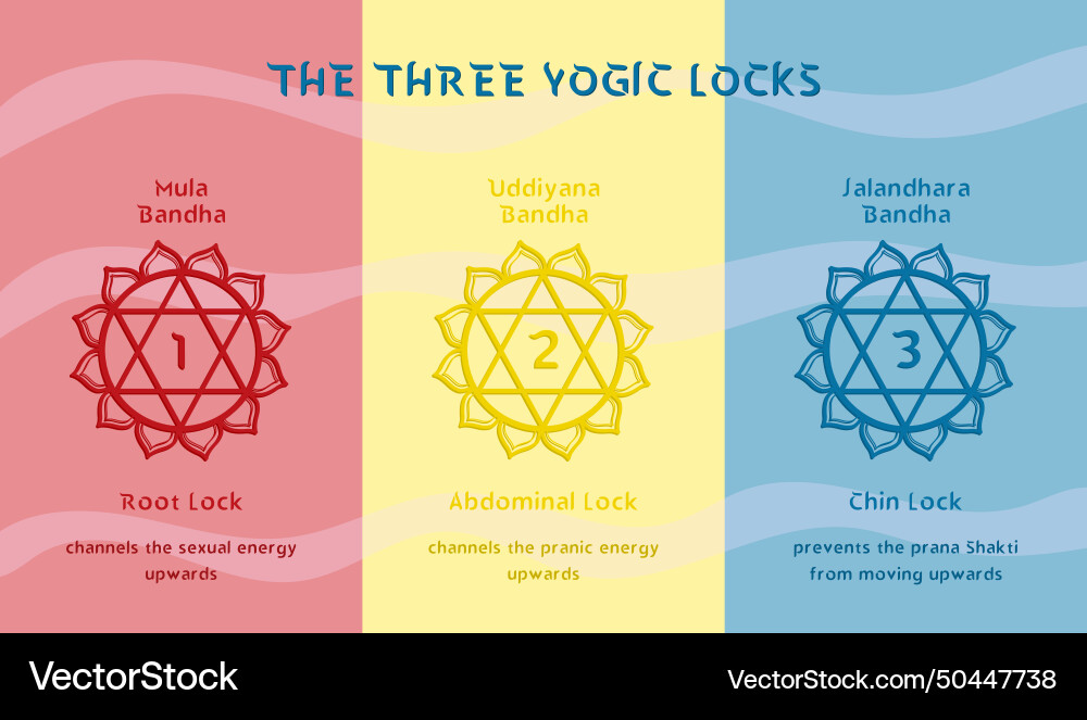 Infographic for yogic practices bandha or lock Infographic for yogic practices bandha or lock Vector Image