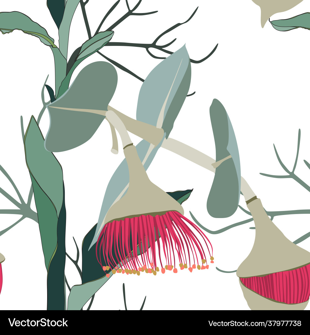 Tropical Floral Patterns Vector Image
