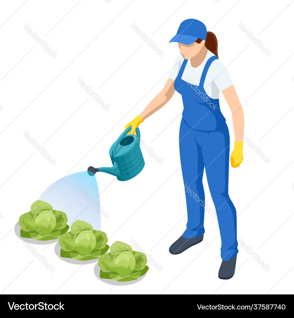 Agricultural work isometric farmer watering vector image