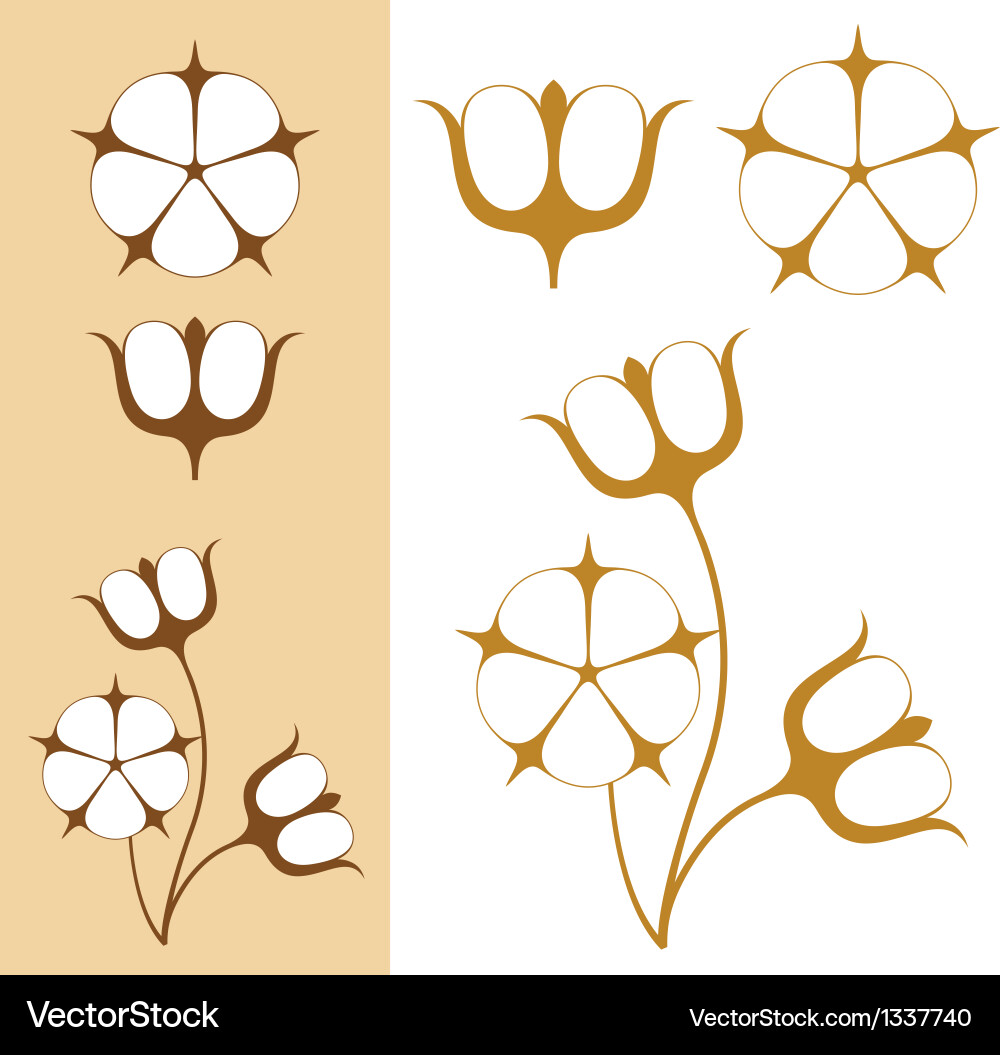 Cotton Plant Silhouette Vector Image