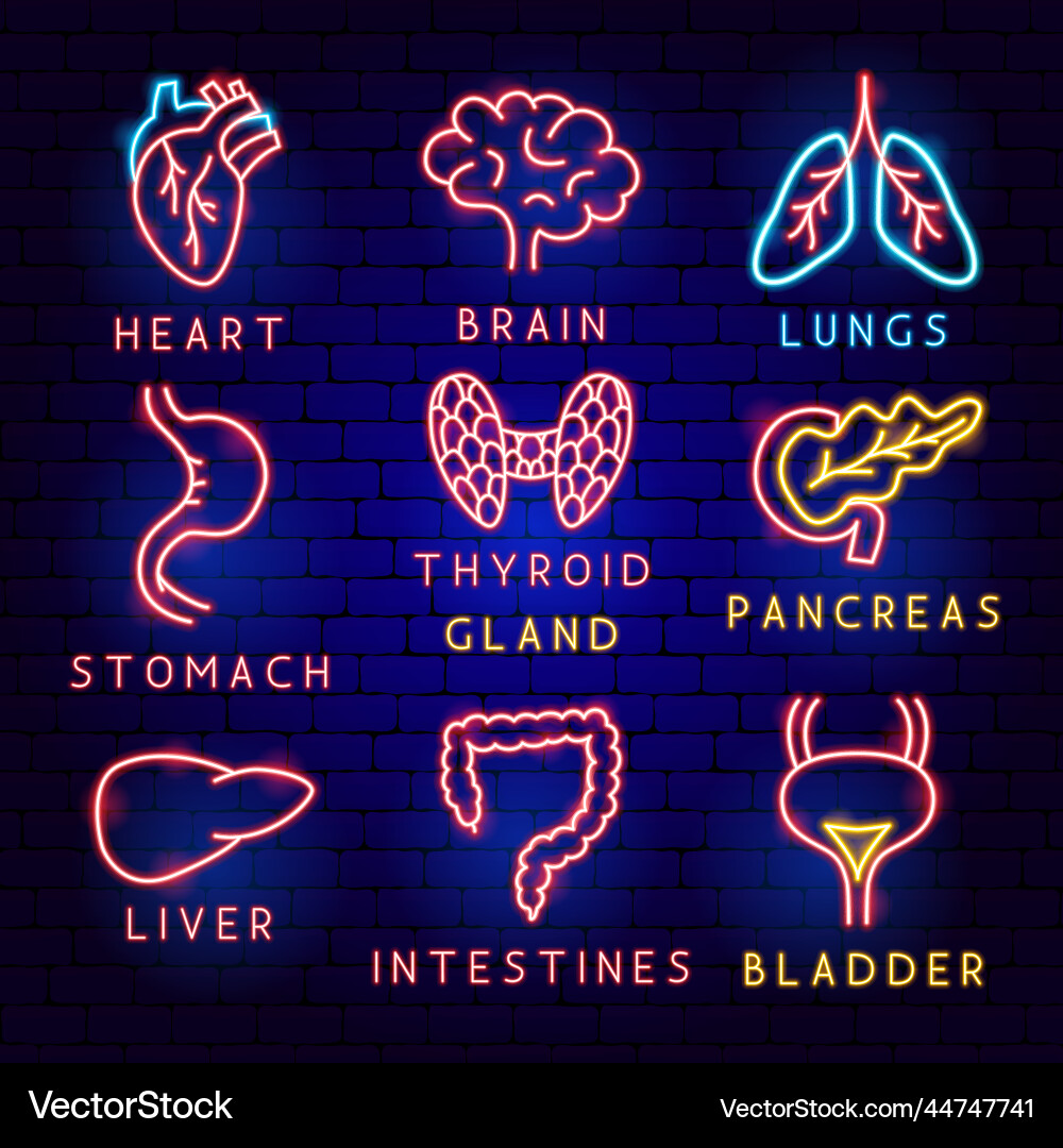 Body organ label set Body organ label set vector image