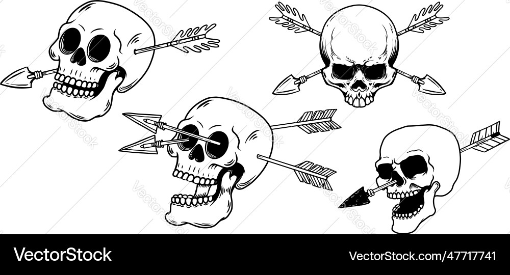Set of skulls with crossed arrows design element Set of skulls with crossed arrows design element vector image