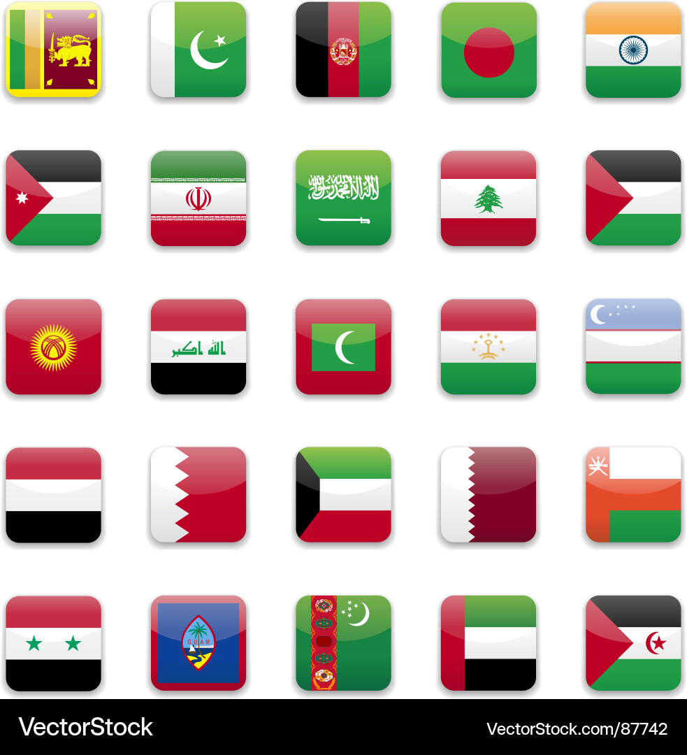 Collection of Asian Flags Vector Image