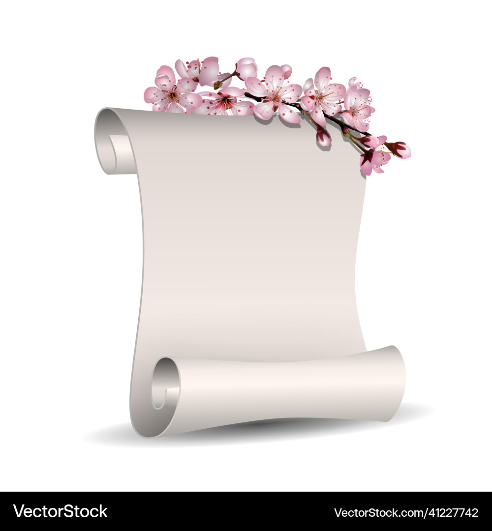 Spring floral banner with scroll empty blank paper Spring floral banner with scroll empty blank paper vector image