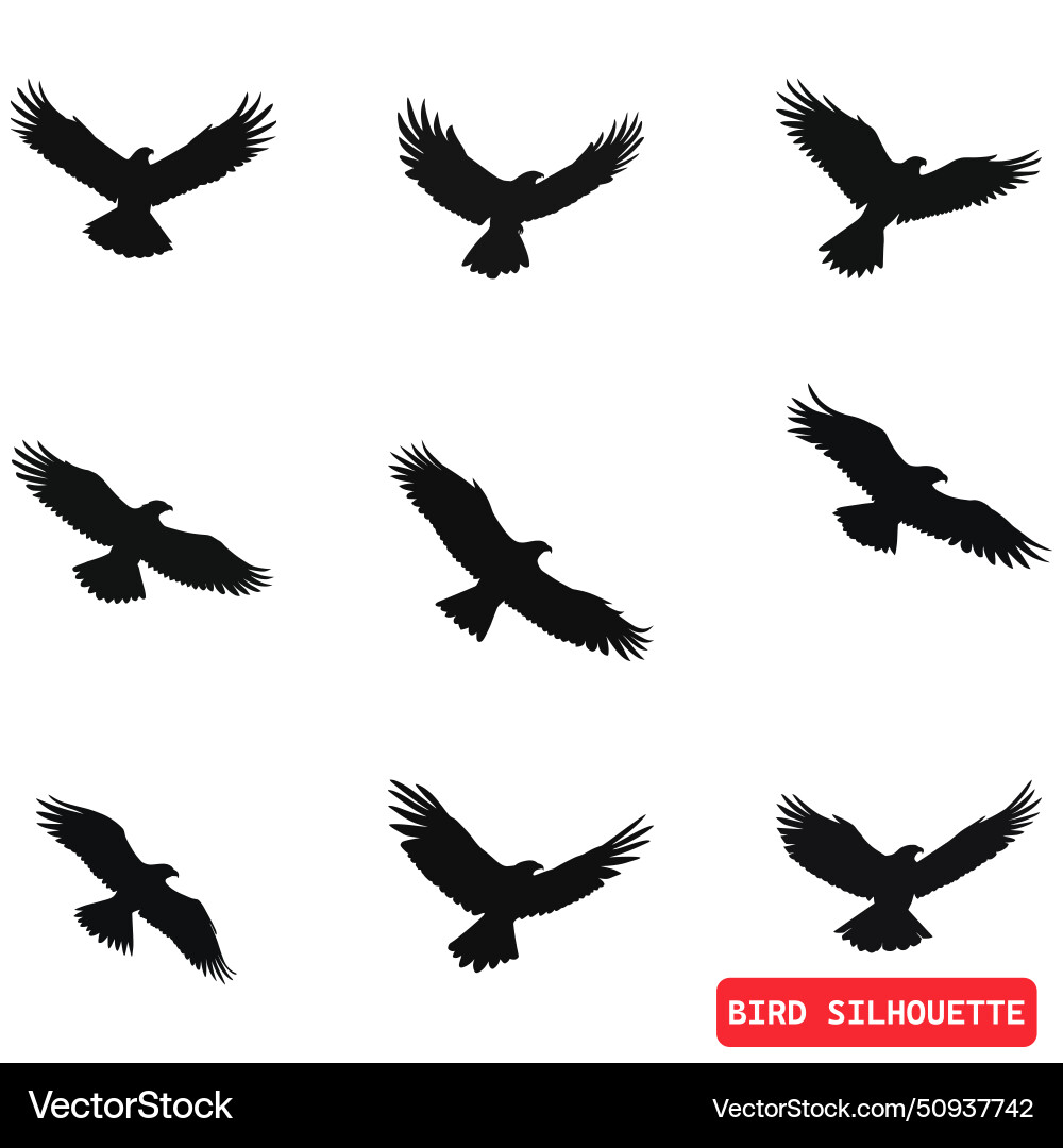Vögel in Bewegung dynamische Vogel Silhouetten Vögel in Bewegung dynamische Vogel Silhouetten vektorbild