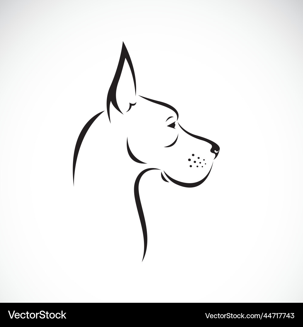 Dog great dane design on white background pet Dog great dane design on white background pet vector image
