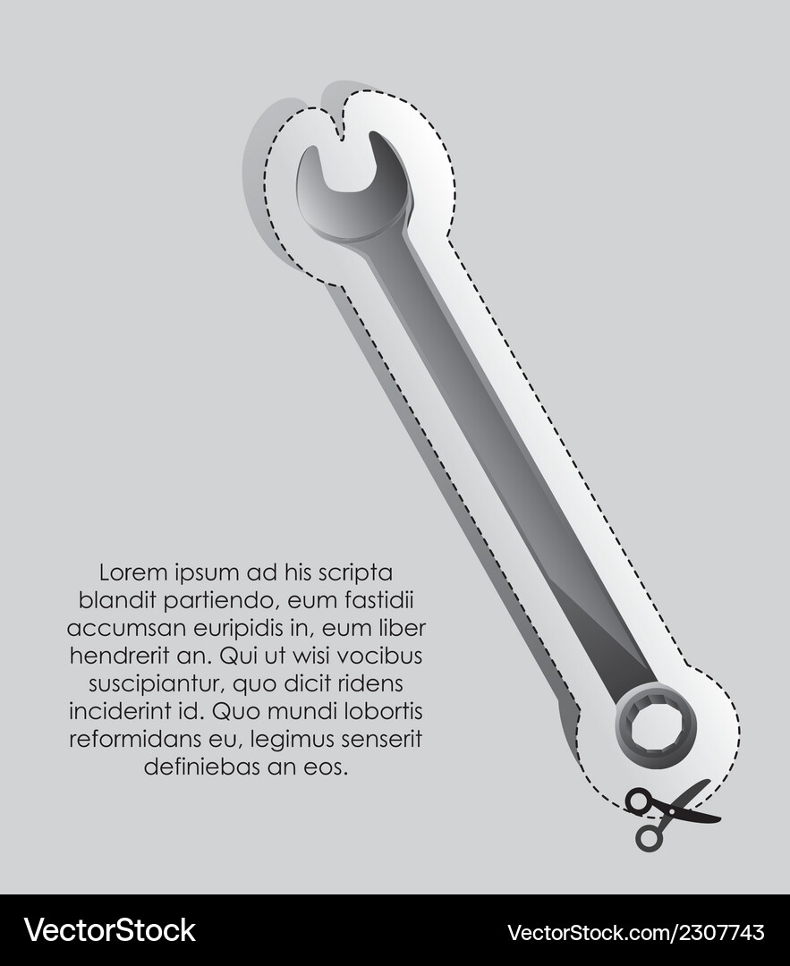Label of a key with cutting lines Vector Image