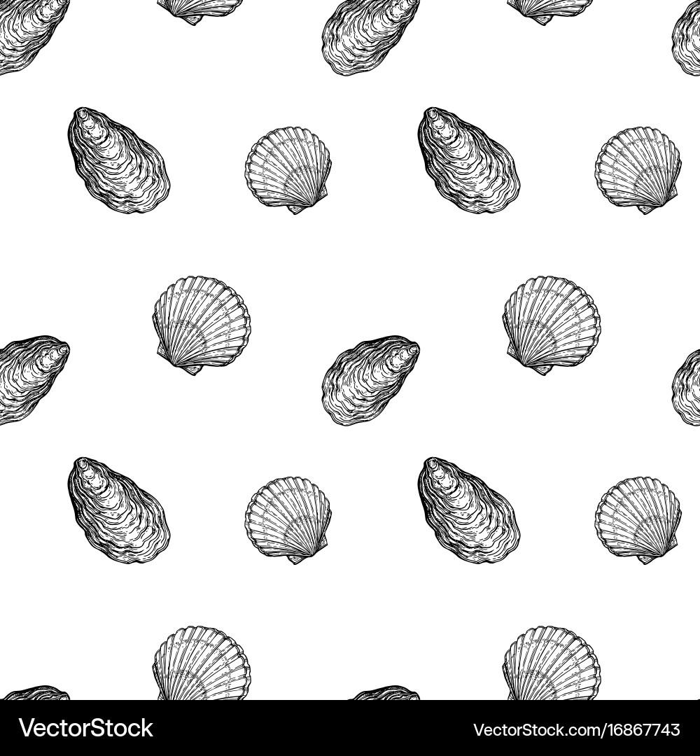Seashell Pattern - Elegant Seas vector image