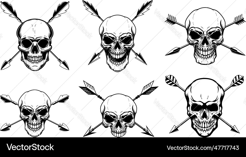 Set of skulls with crossed arrows design element Set of skulls with crossed arrows design element vector image