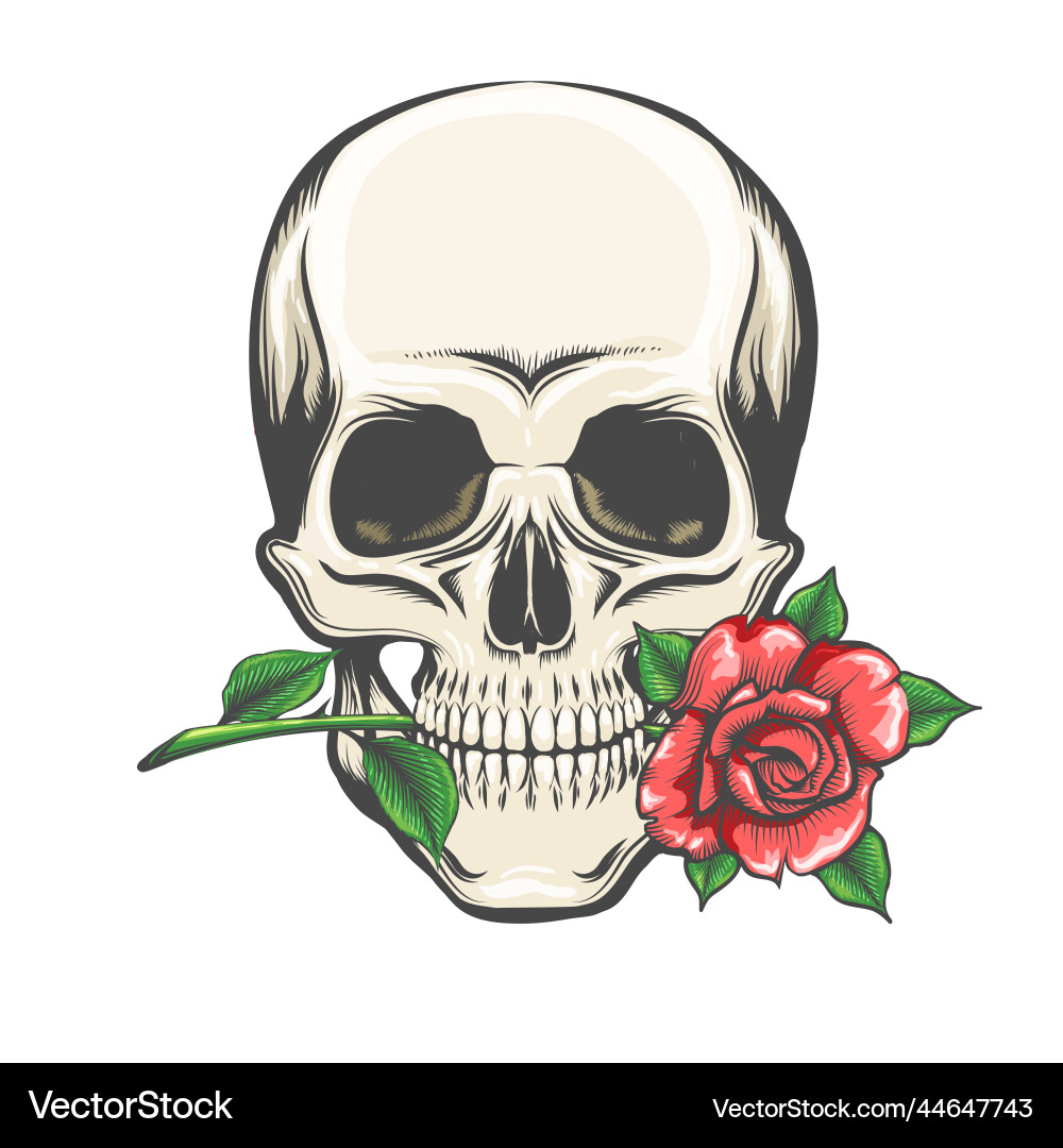Skull with Rose Tattoo Vector Image