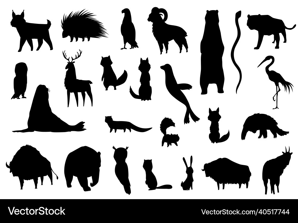 Silhouette Tiere der Nord-Amerika Natur Fauna Silhouette Tiere der Nord-Amerika Natur Fauna vektorbild