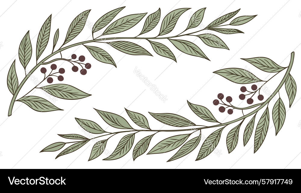 Simple olive branch border design generative ai Vector Image