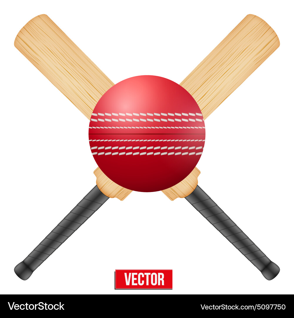 Cricket Ball with Bats vector image