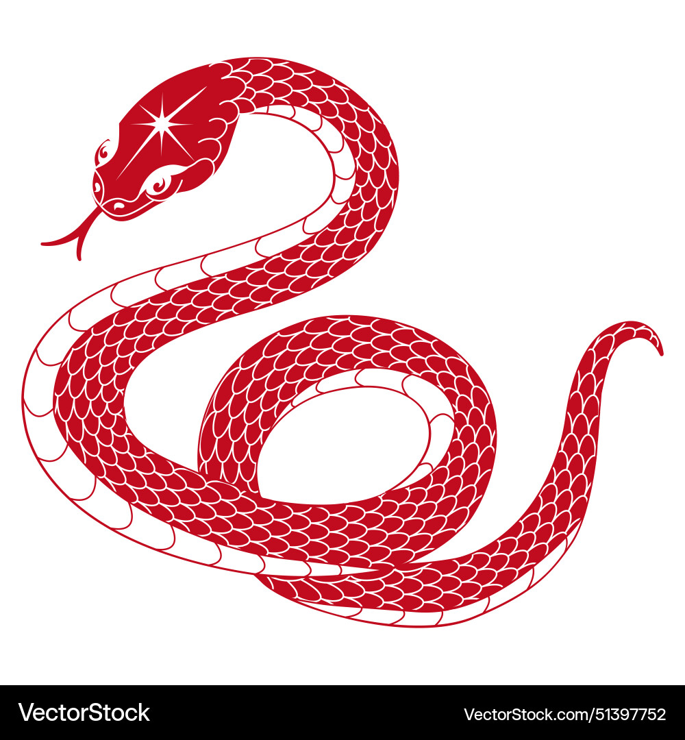Happy chinese new year 2025 of the snake Happy chinese new year 2025 of the snake vector image
