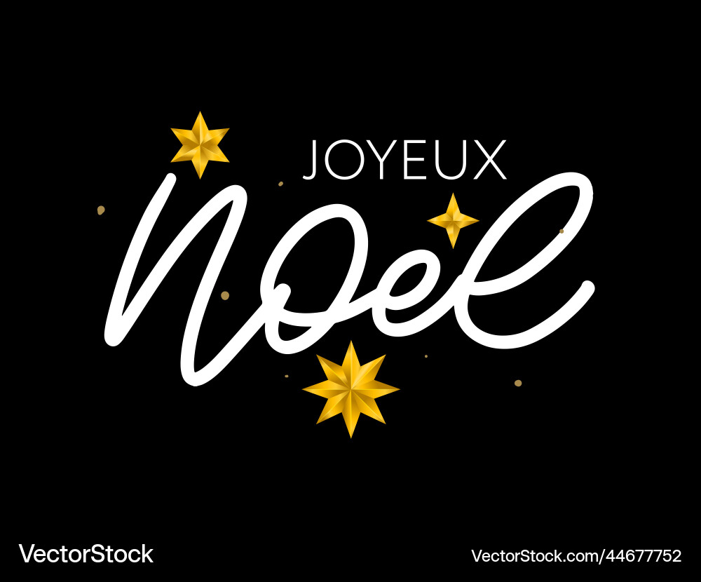 Merry christmas in french language joyeux noel Merry christmas in french language joyeux noel vector image
