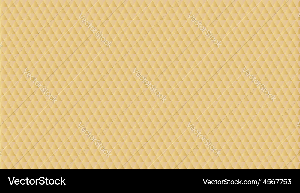 Geometric Triangle Pattern vector image