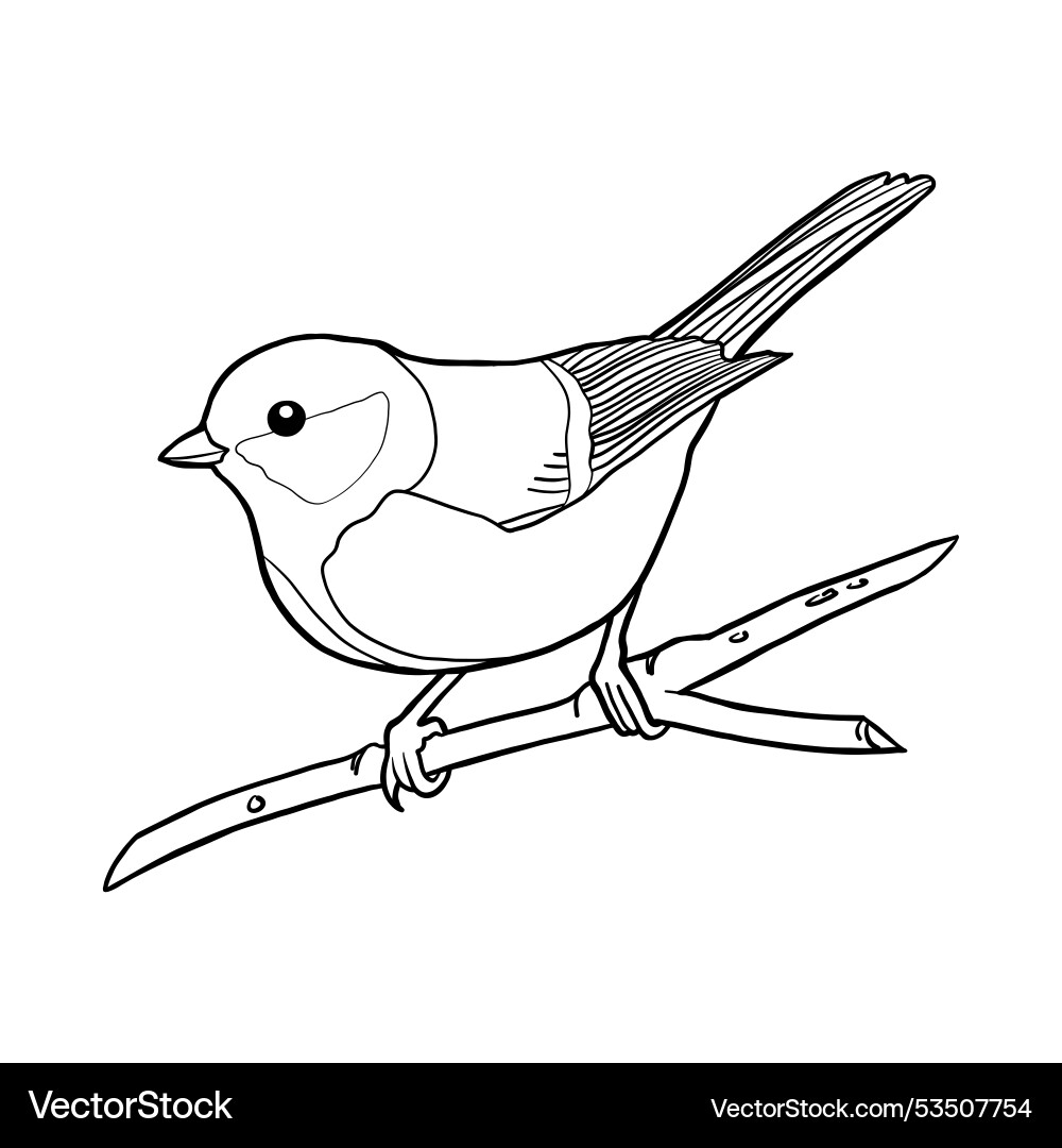 Süße Vogel Färbung Seite Kinderbuch Vögel Süße Vogel Färbung Seite Kinderbuch Vögel vektorbild