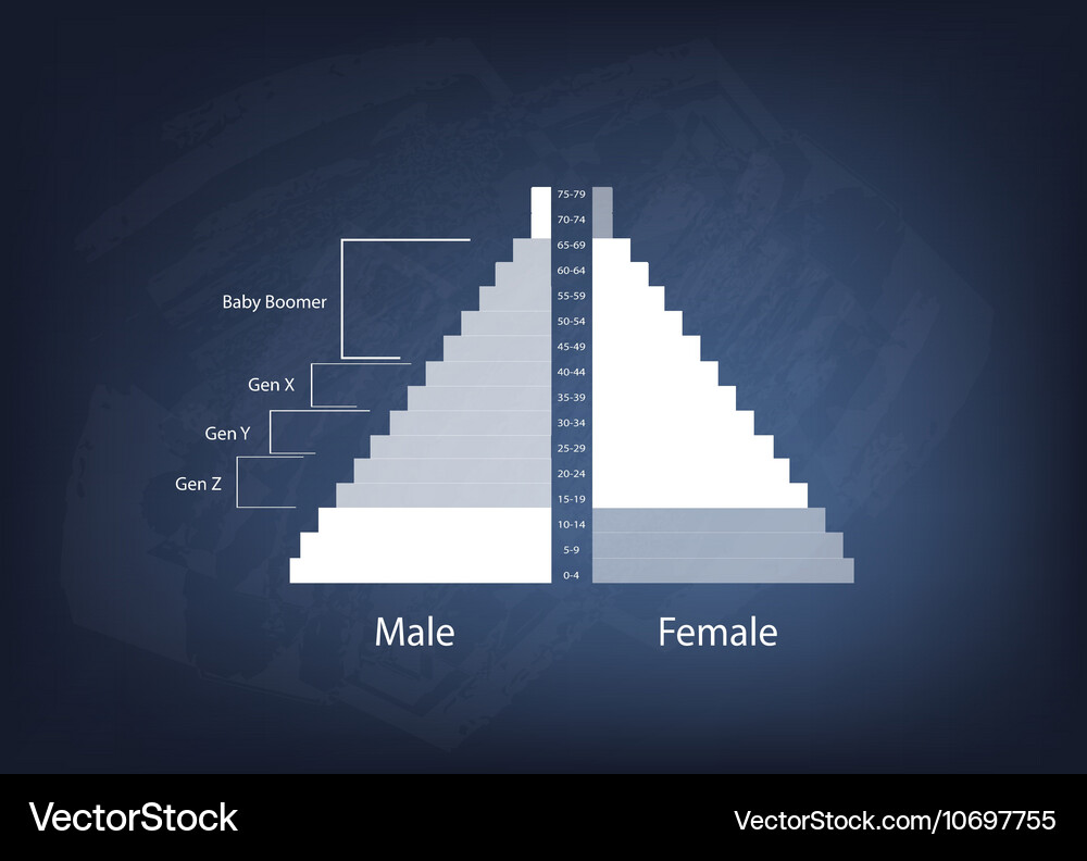 Population pyramids graphs with 4 generation Vector Image