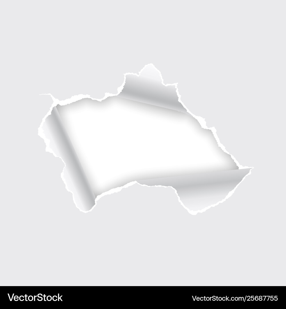 Torn hole in paper on white background Torn hole in paper on white background vector image