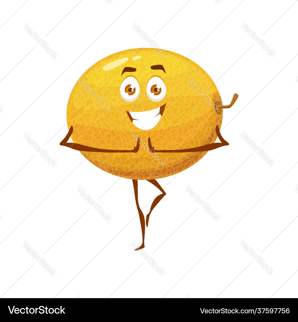 Melon healthy fruit food fitness sport pilates Melon healthy fruit food fitness sport pilates vector image