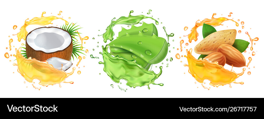 Kosmetische Öl-Set Kokos Mandeln Aloe Vera Kosmetische Öl-Set Kokos Mandeln Aloe Vera vektorbild