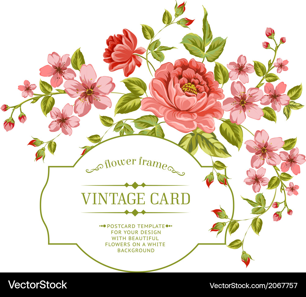 Vintage Floral Peony Background Vector Image