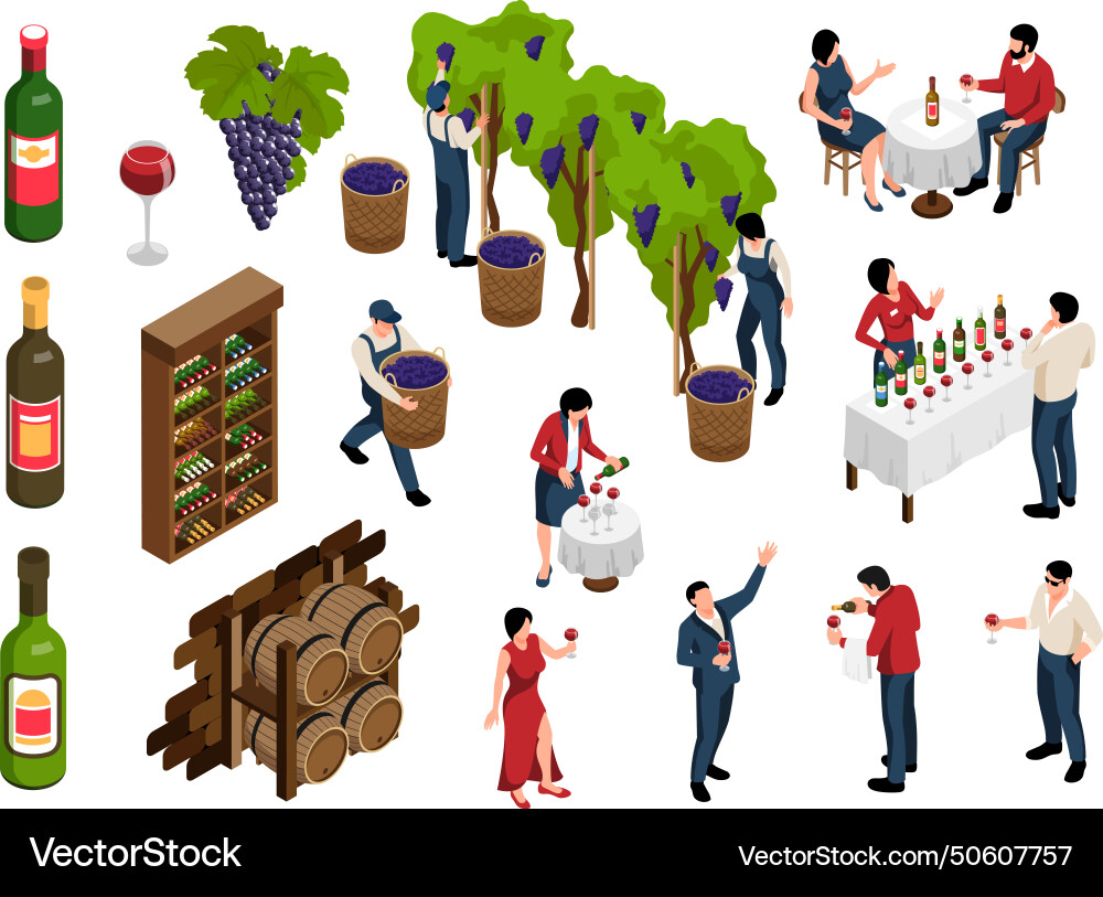 Wine isometric set Royalty Free Vector Image - VectorStock