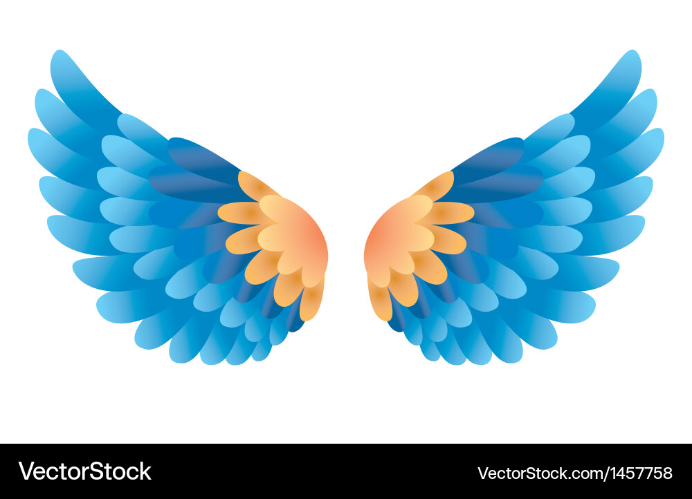 Wing Royalty Free Vector Image - VectorStock