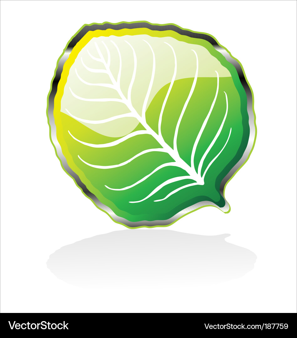 Leaf icon Royalty Free Vector Image - VectorStock