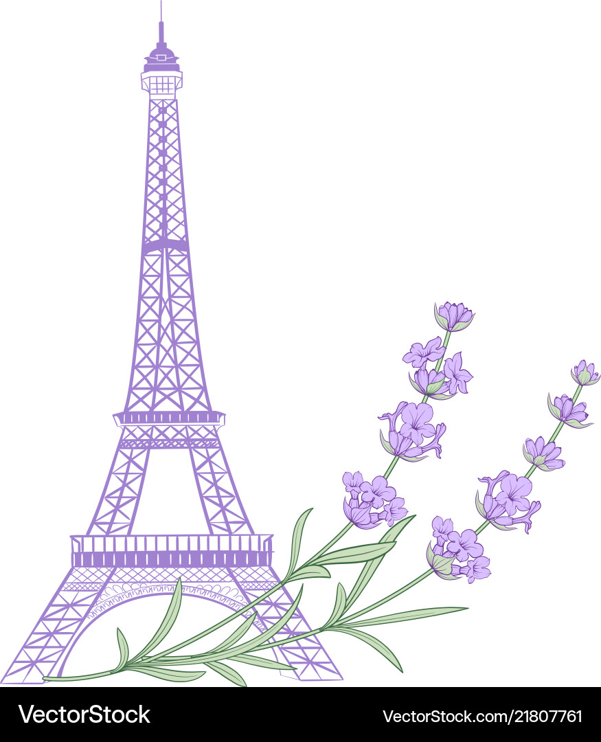 Eiffel Tower Lavender Floral Vector Image