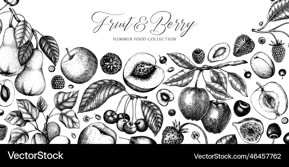 Berry and fruit tree background hand drawn cherry Berry and fruit tree background hand drawn cherry vector image