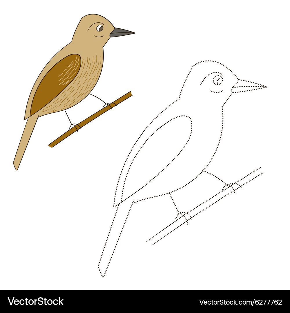 Connect the dots game xenops bird Vector Image