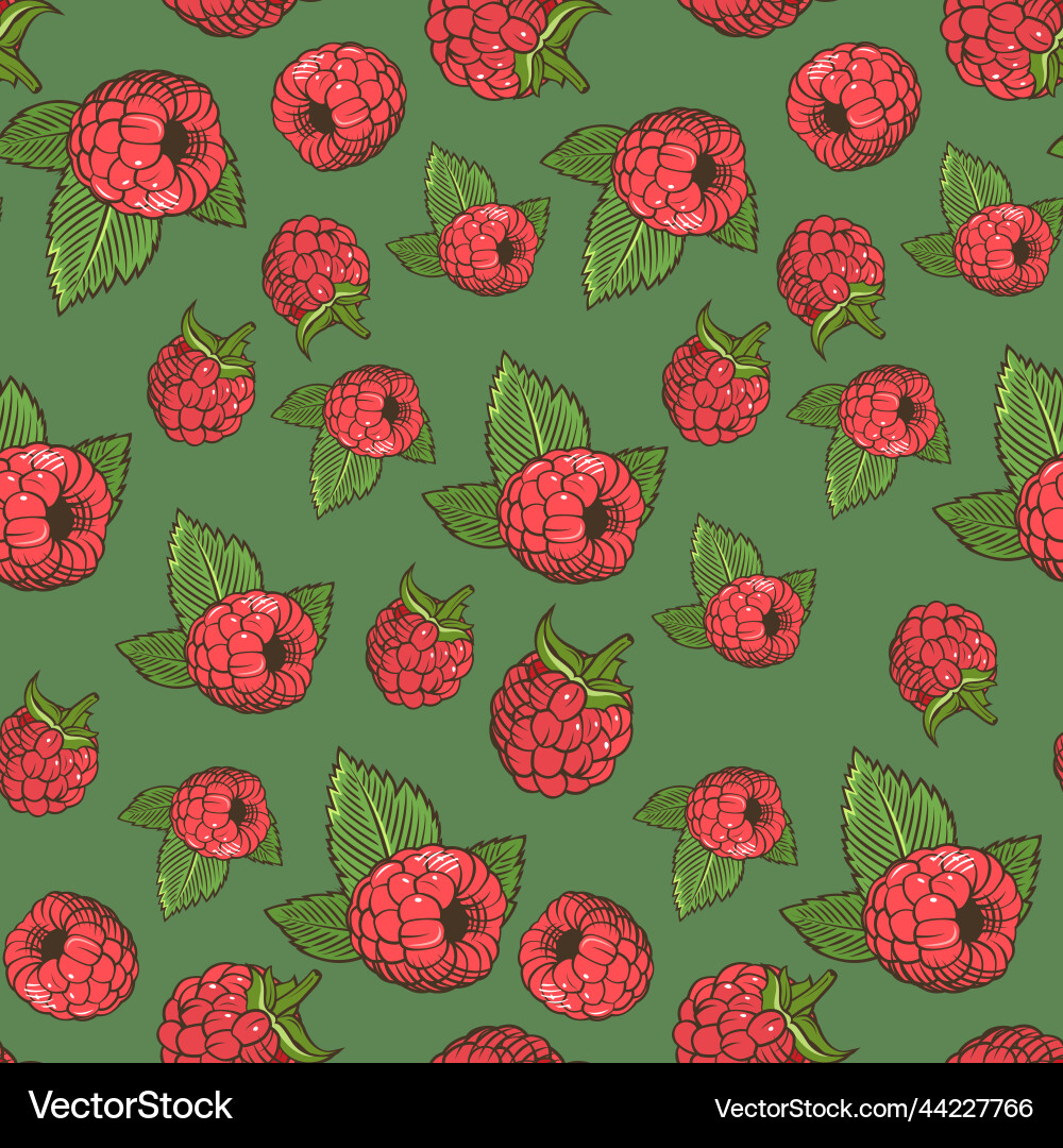 Seamless pattern with raspberries on a green vector image