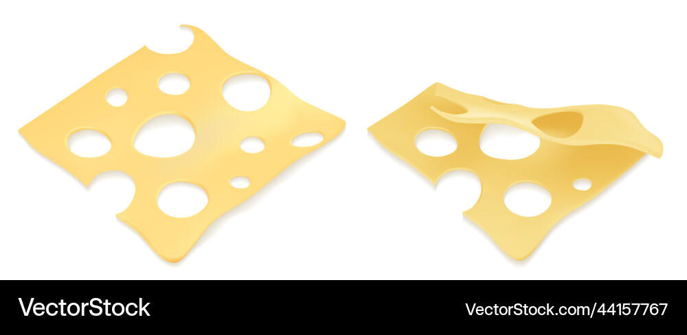 A set of cheesy simple stable and neat cheese vector image