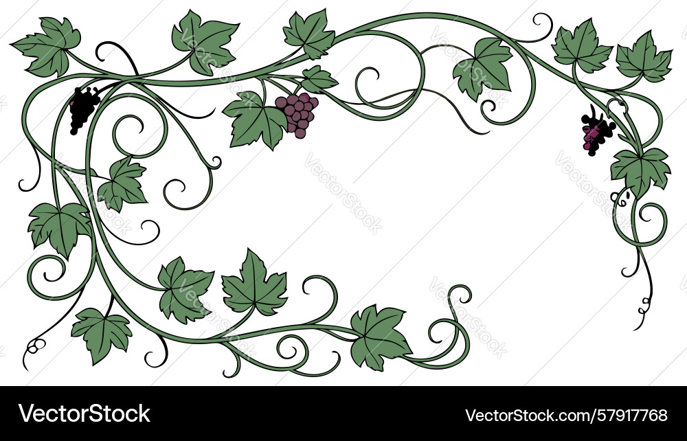 Abundant grapevine corner motif design generative Vector Image