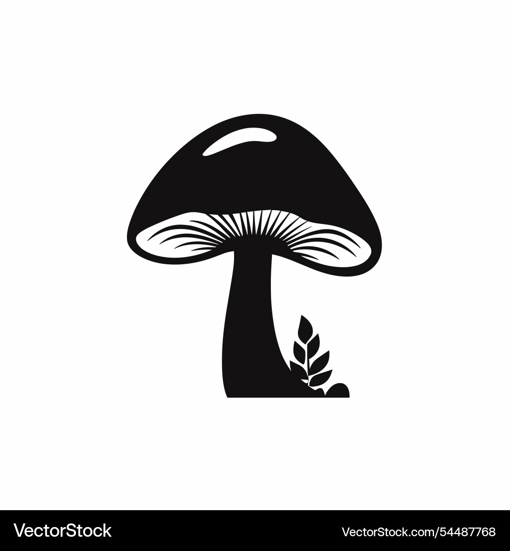 Black and white mushroom with detailed gills Black and white mushroom with detailed gills vector image