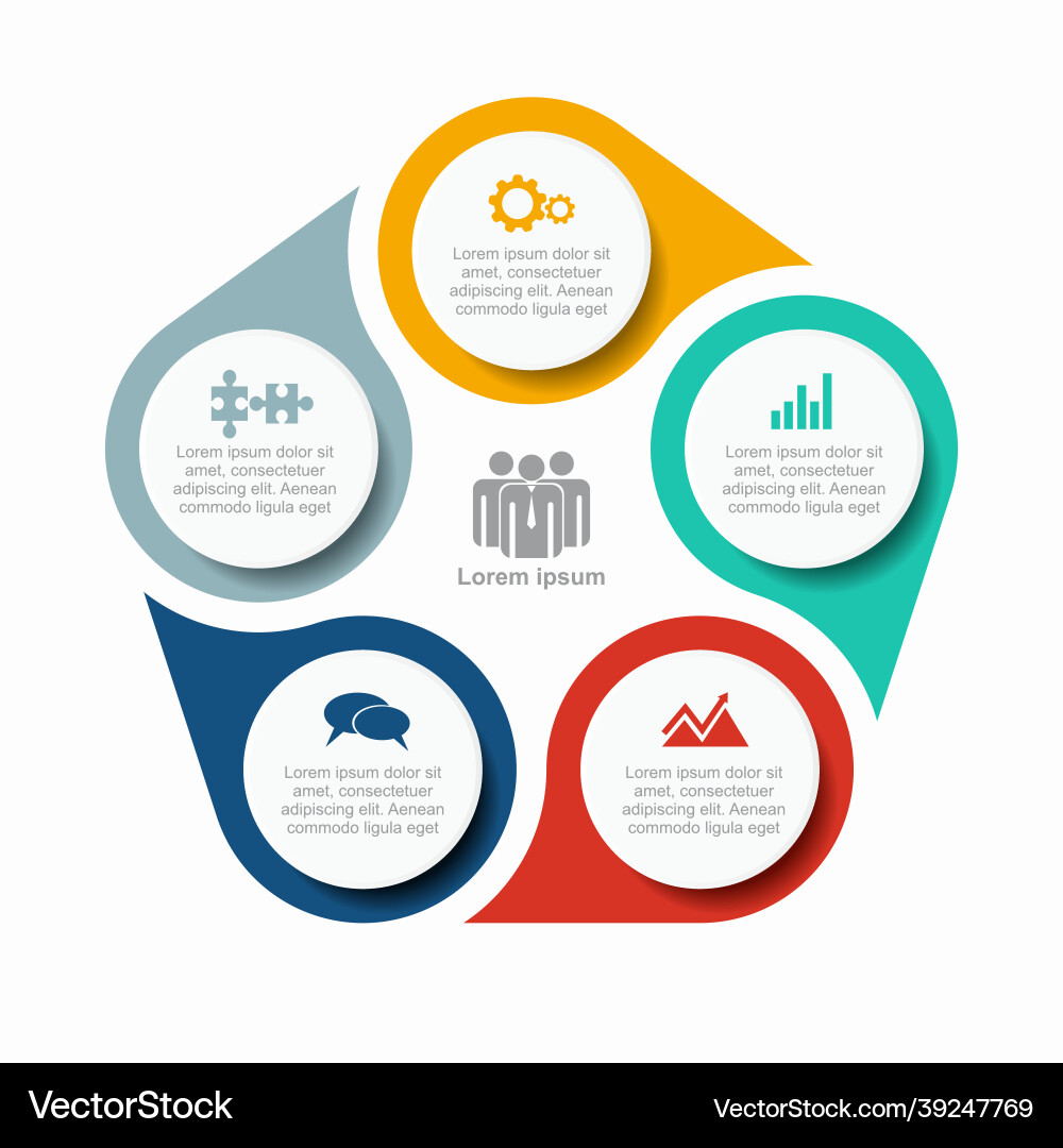 Modern Infographic Template - Data Visualization vector image