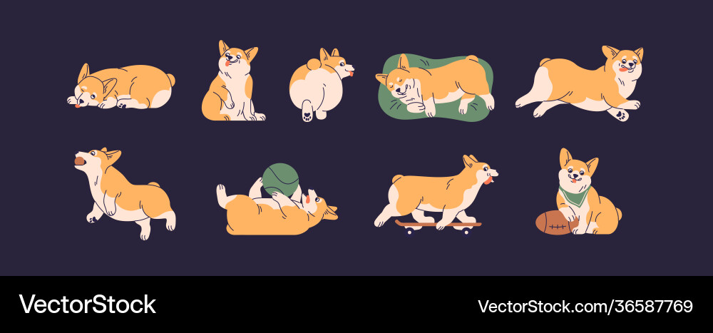 Set cute little corgis playing lying sleeping Set cute little corgis playing lying sleeping vector image